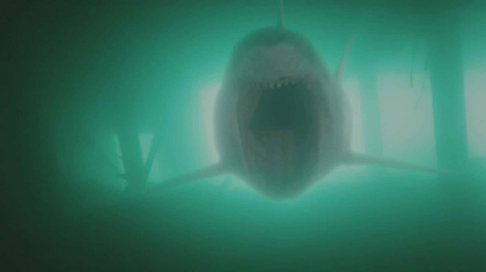 Shark Killer (2015) Shark Killer (2015)